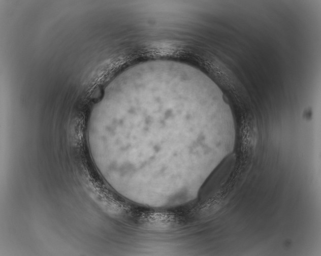 X0000115590546200912011506