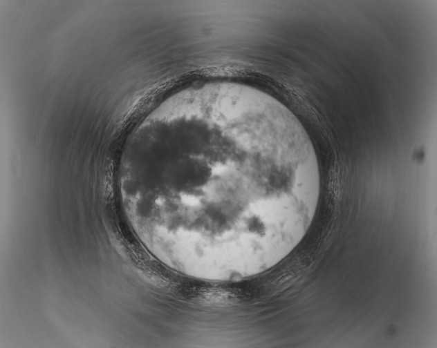 X0000115590547200912011506
