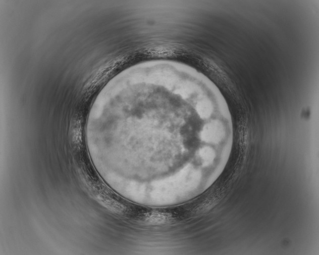 X0000115590549200912011506