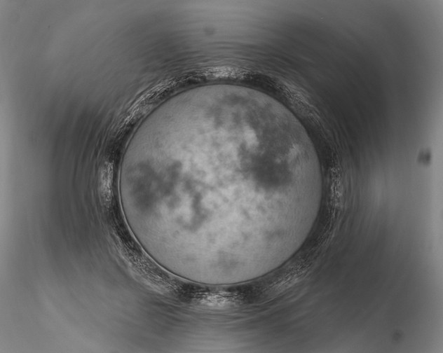 X0000115590550200912011506