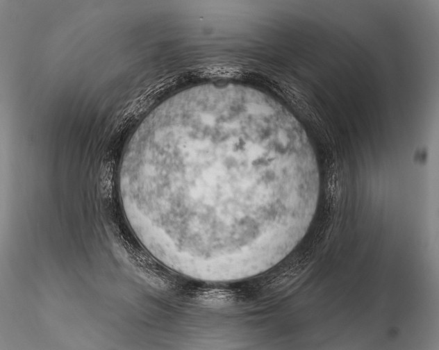 X0000115590551200912011506