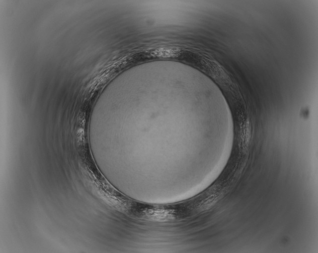 X0000115590553200912011506