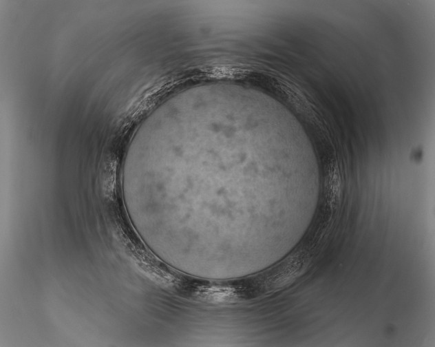 X0000115590554200912011506