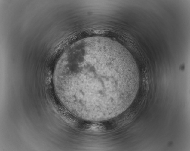 X0000115590555200912011506
