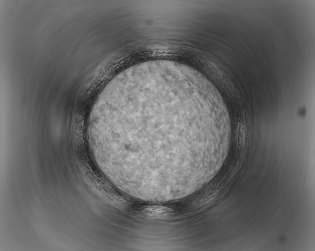 X0000115590557200912011506