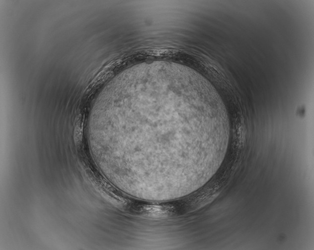 X0000115590558200912011506