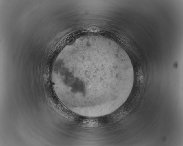 X0000115590559200912011506