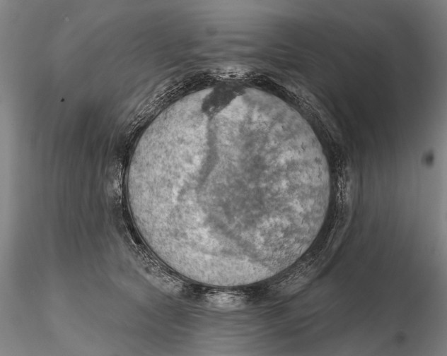 X0000115590561200912011506