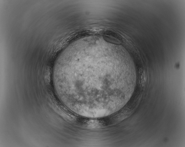 X0000115590562200912011506