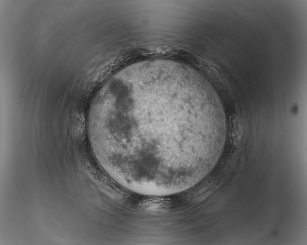 X0000115590563200912011506