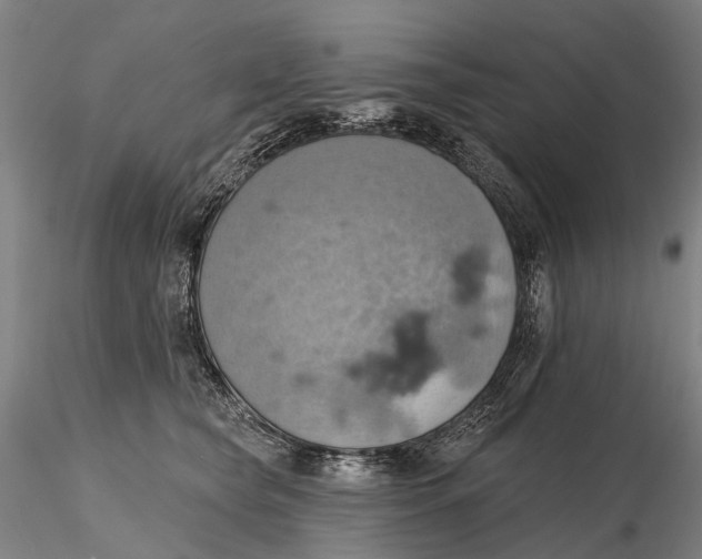 X0000115590565200912011506