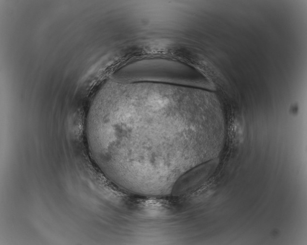 X0000115590566200912011506