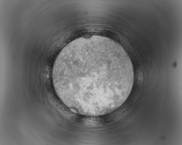 X0000115590567200912011506