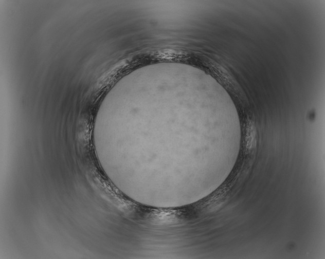 X0000115590569200912011506