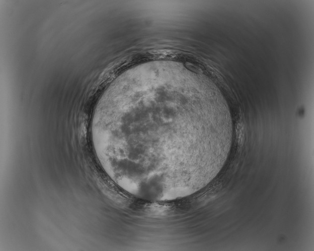 X0000115590570200912011506