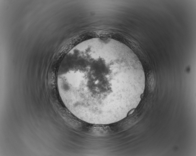 X0000115590571200912011506