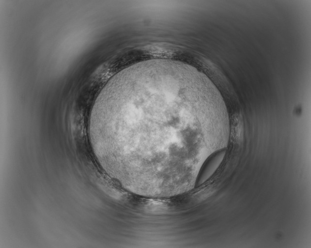 X0000115590573200912011506
