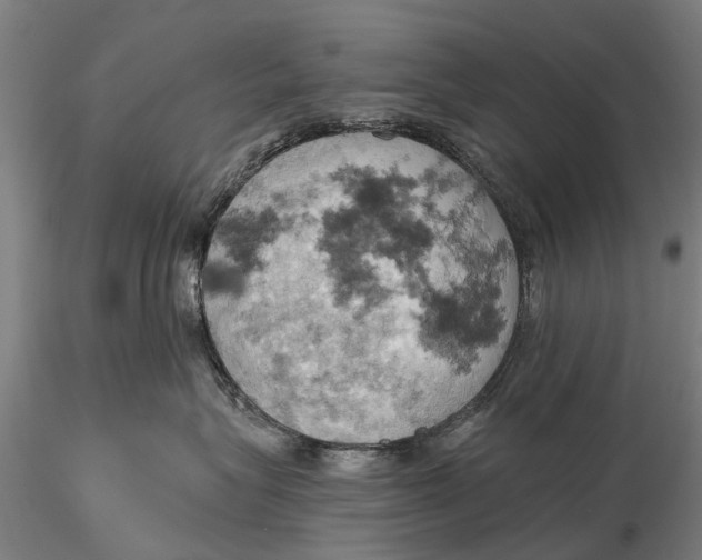 X0000115590575200912011506