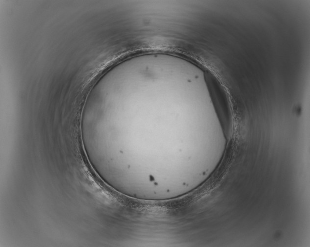 X0000115590577200912011505