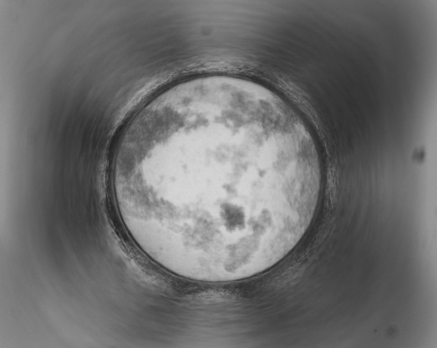 X0000115590578200912011505