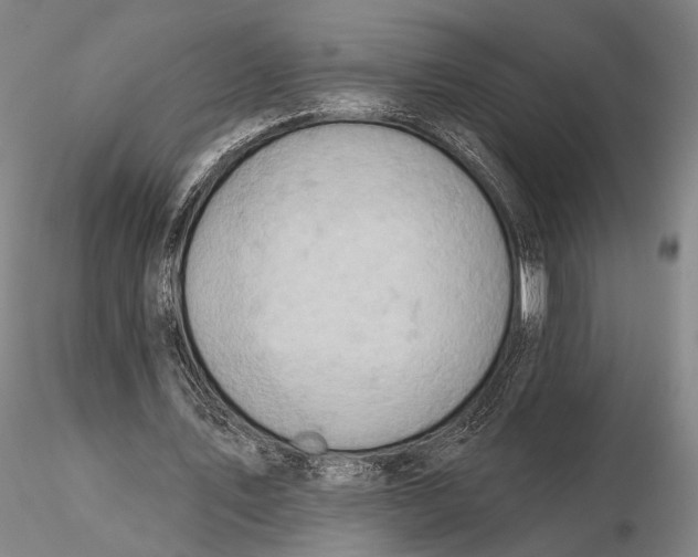 X0000115590579200912011505