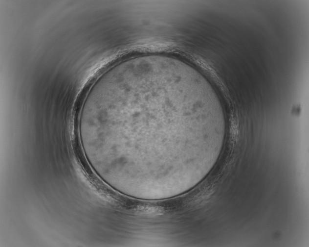 X0000115590582200912011505