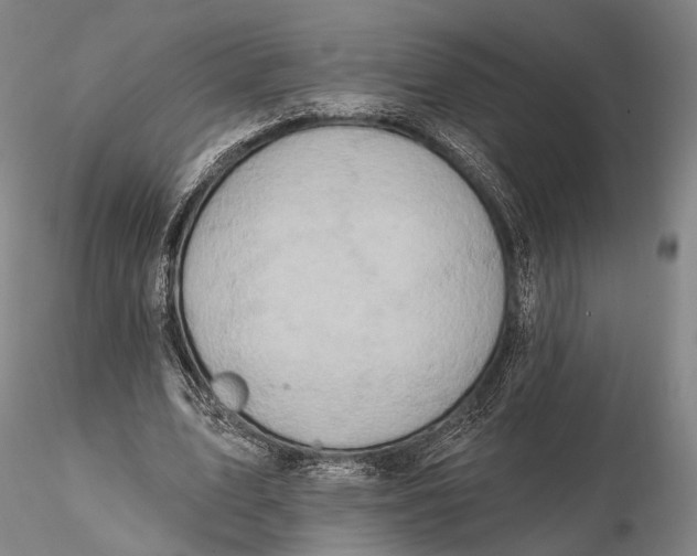 X0000115590583200912011505