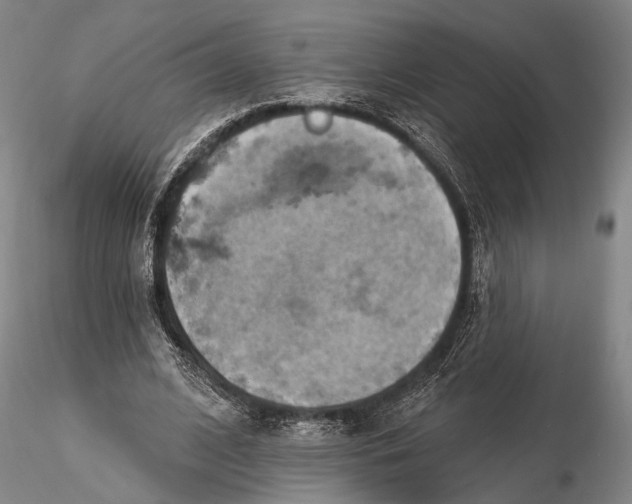 X0000115590584200912011505