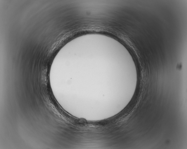 X0000115590585200912011505