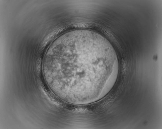 X0000115590586200912011505