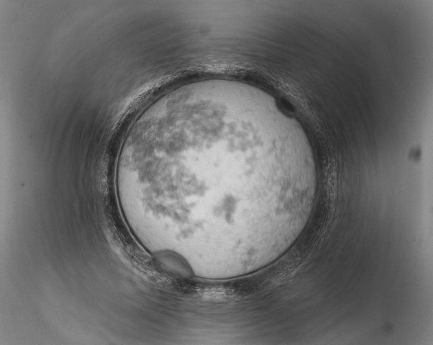 X0000115590587200912011505