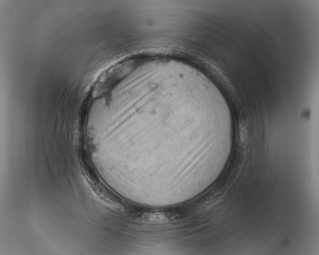 X0000115590588200912011505