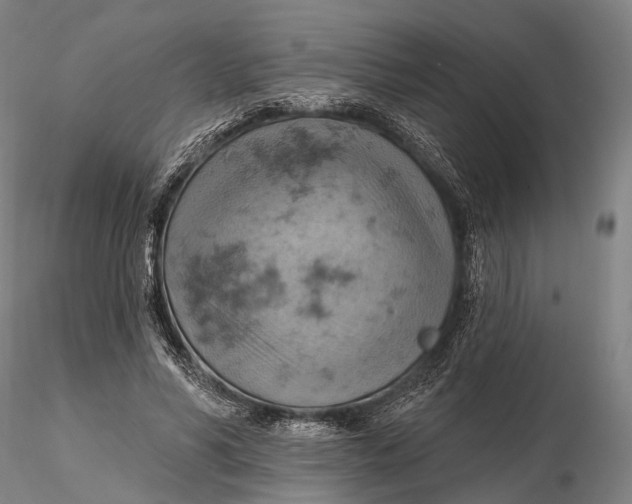 X0000115590590200912011505