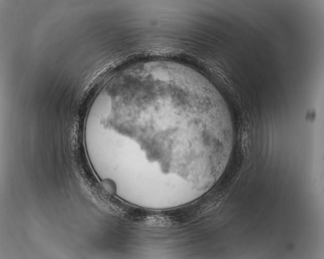 X0000115590591200912011505