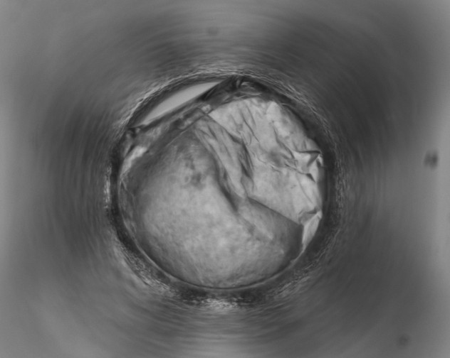 X0000115590592200912011505