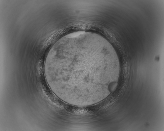 X0000115590594200912011505