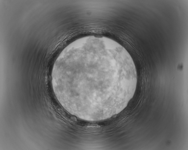 X0000115590595200912011505