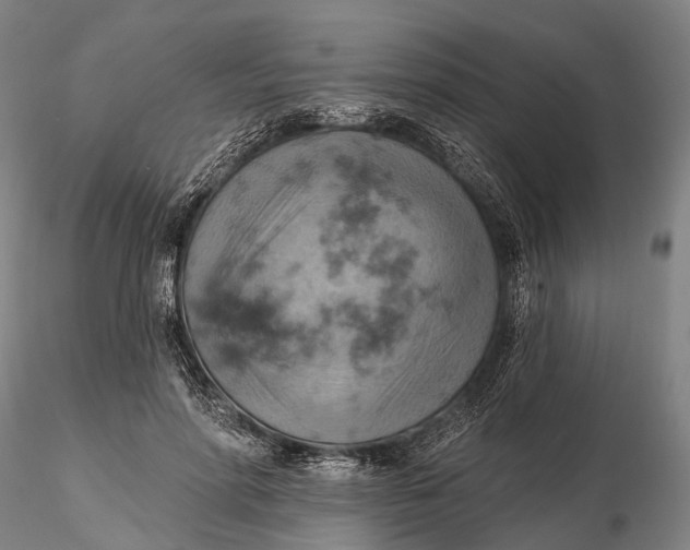 X0000115590598200912011505