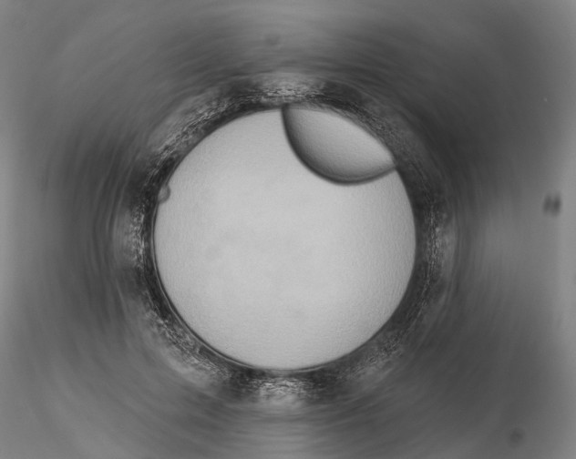 X0000115590599200912011505