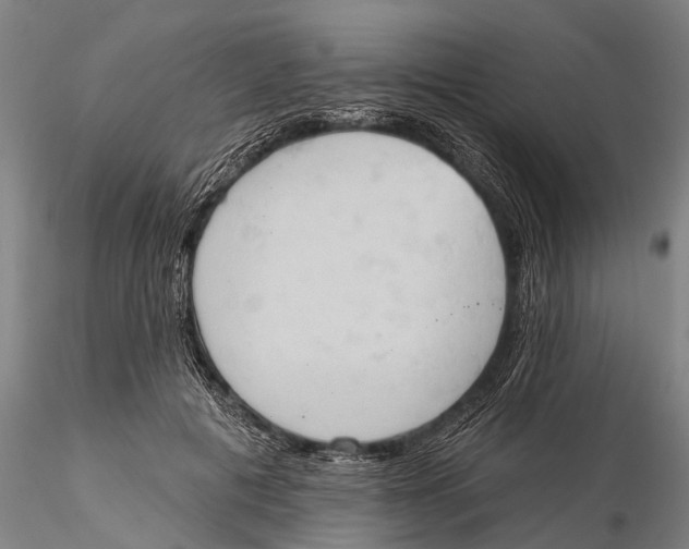 X0000115590601200912011505