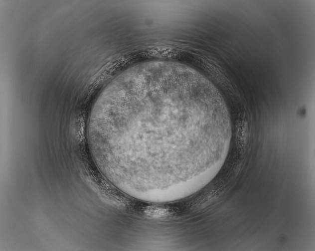 X0000115590602200912011505