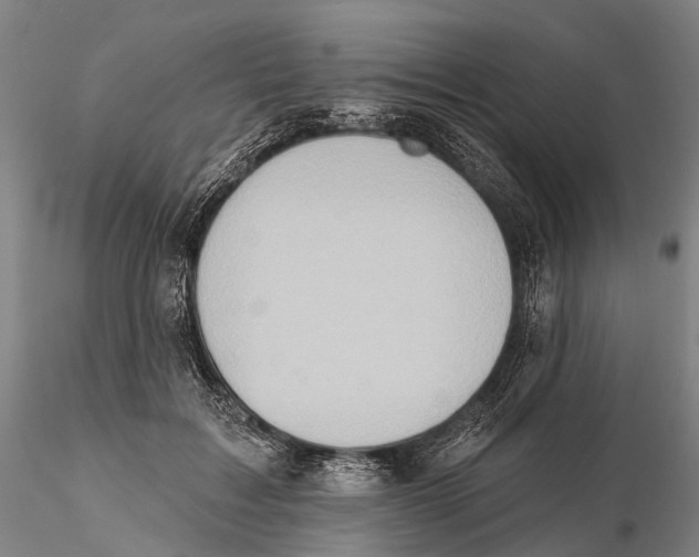 X0000115590603200912011505