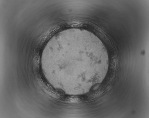 X0000115590604200912011505