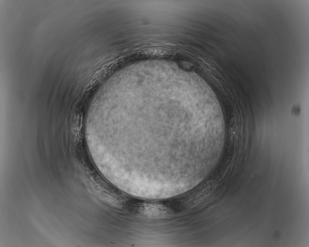 X0000115590605200912011505