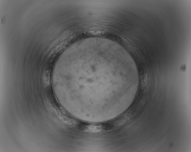X0000115590606200912011505