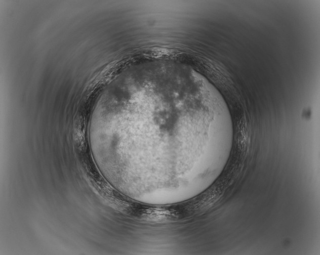X0000115590607200912011505