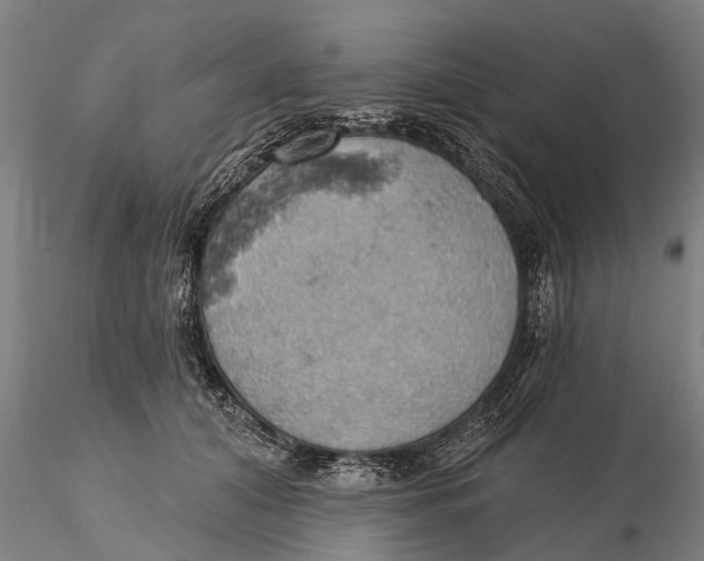 X0000115590608200912011505