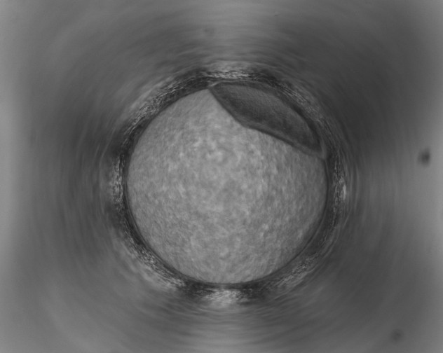 X0000115590609200912011505