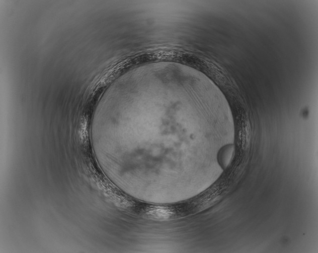 X0000115590610200912011505