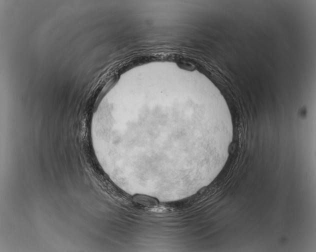 X0000115590611200912011505